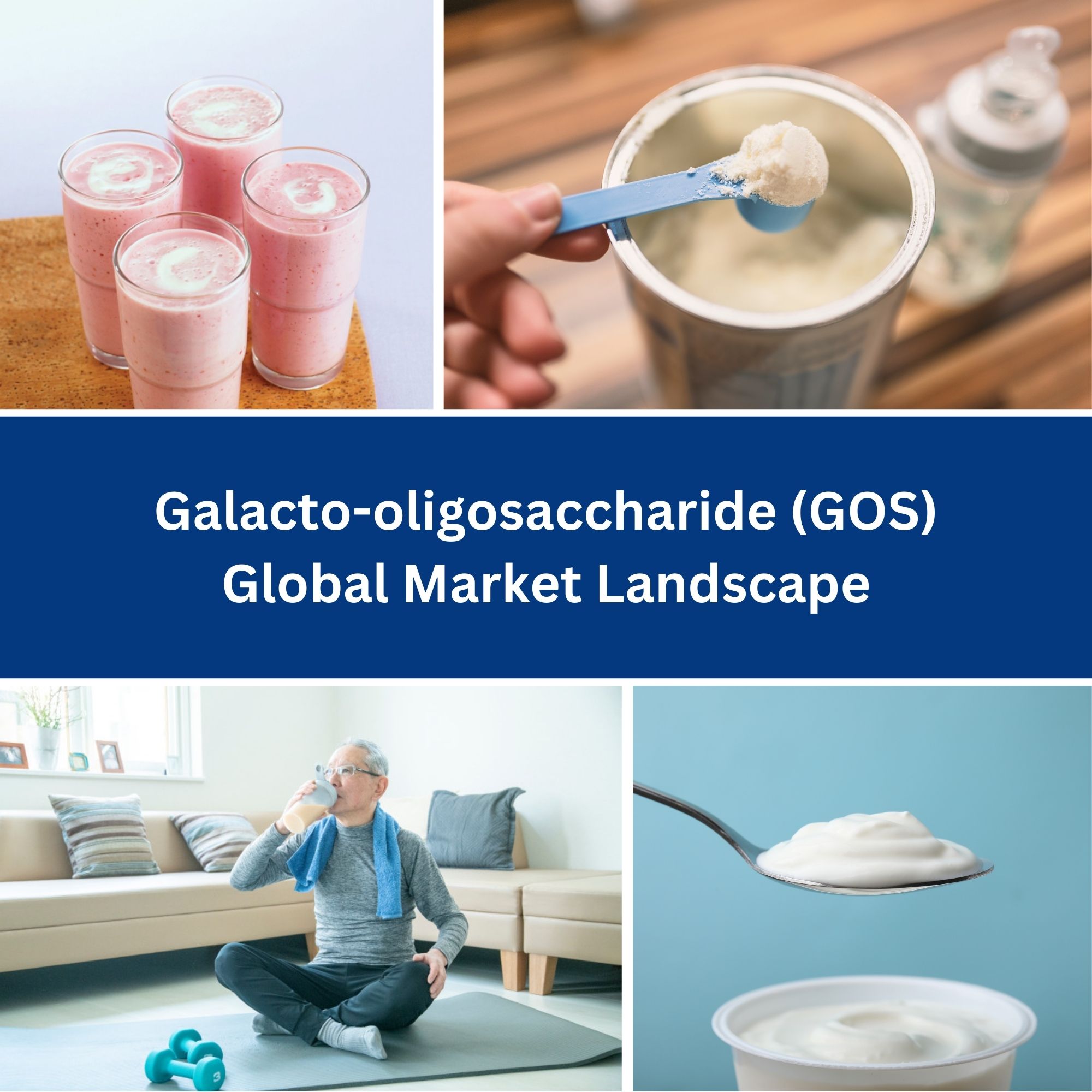 Glacto-oligosaccharide Global Market Landscape
